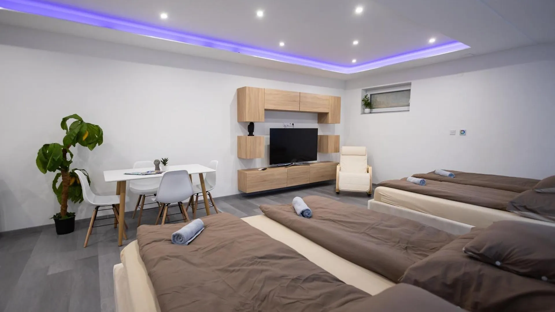 Fonix Apartman Loft Debrecen Apartment